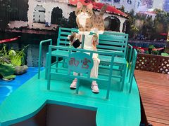 -豪享来(我格广场店)