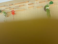 -上海浦东康桥绿地假日酒店