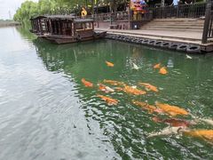 -乌记大厨餐厅