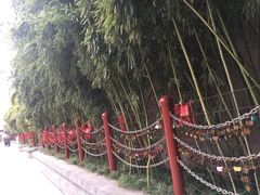 -西安曲江寒窑遗址公园