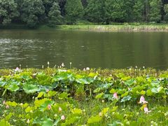 -福建鲤鱼洲酒店