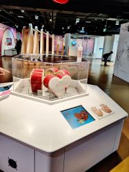 -北京科学中心儿童乐园