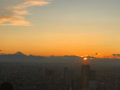 -六本木新城展望台(东京城市景观)