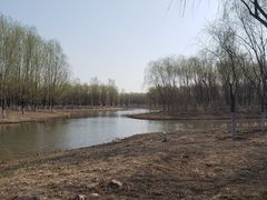 -东郊湿地公园