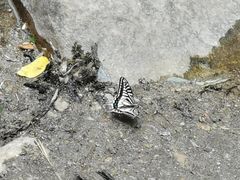 -碓臼峪自然风景区