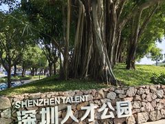 -深圳人才公园
