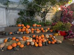 -Osteria Garden 生蚝花园餐厅(原进贤路店)