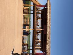 -白洋淀景区