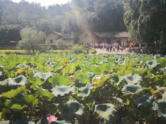 -韶山毛泽东同志故居