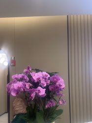 -木兰清颜医疗美容