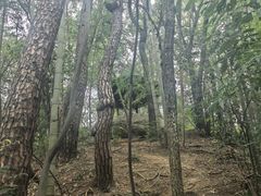 -波尔登森林公园