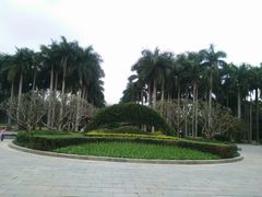 -金花茶公园