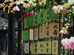 -南京市民俗博物馆(甘熙故居)