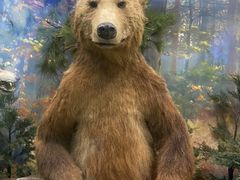 -国家自然博物馆