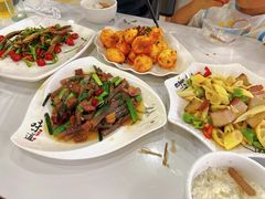 -谭家菜农夫山庄