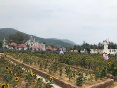 -玫瑰海岸文化旅游度假区