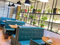 -三猫黑鱼花(南大店)