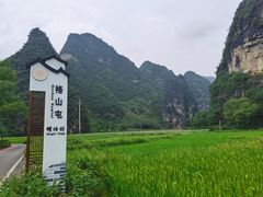 -明仕田园
