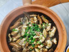 白鱔拼黃鱔-红星光发煲仔饭(大石街店)