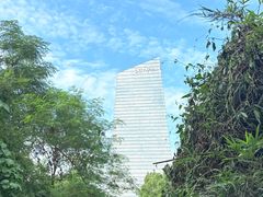 -华侨城湿地公园