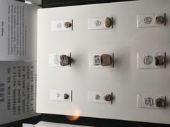 -古陶文明博物馆