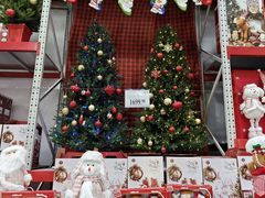 -山姆会员商店(杨桥西路店)
