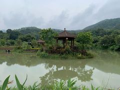-林丰温泉度假山庄