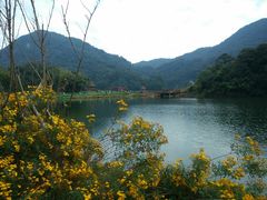 -广州市石门国家森林公园