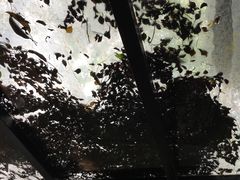 -茂德公草堂