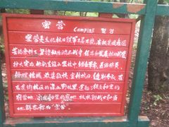 -龙道沟景区