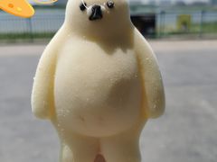 -上海海昌海洋公园