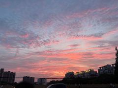 -陇南批发市场