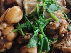 -争鲜·鲍鱼鸡煲(美邻中心店)