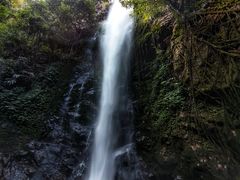 -莫里热带雨林景区