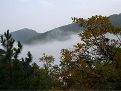 -富平县金粟山森林公园