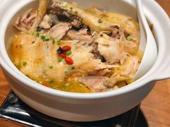 土鸡炖岩耳-印象鲵宴·张家界地标美食名片(溪布街店)