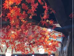 -活鱼馆(宜兴埠店)