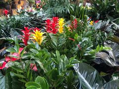 -秦美花卉(天朗·莱茵小城2期店)