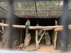 -费瑟代尔野生动物园