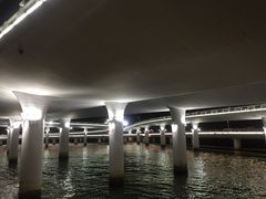 -演武大桥观景平台