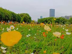 -艾溪湖湿地公园