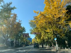 -九炉分座(个园店)