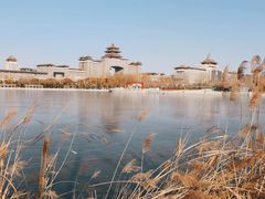 -莲花池公园