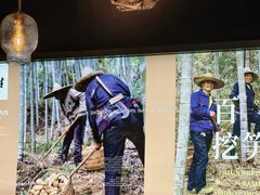 -皖厨·中国徽菜(万象食家店)