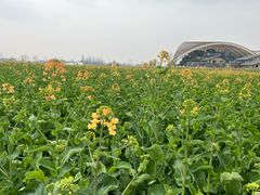 -中国天府农业博览园