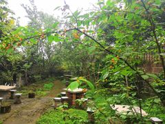 -樱桃山旅游景区