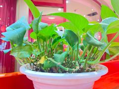 -悦盐·自贡盐帮菜(增光路店)