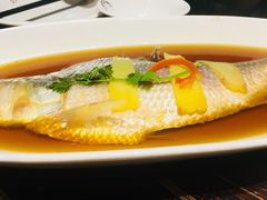 -涌上外婆桥(慈溪店)