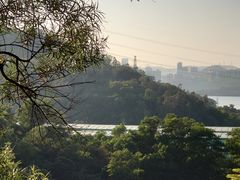 -深圳仙湖植物园