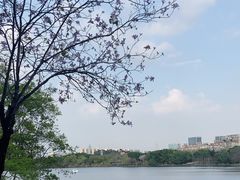 -广东花都湖国家湿地公园
